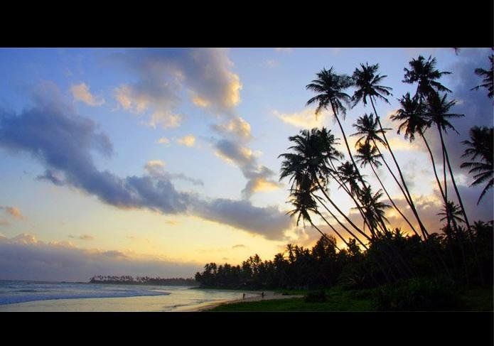 صورة الفندق 22