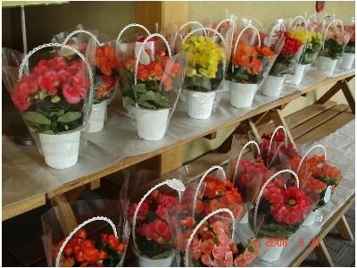 صورة الفندق 2