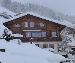 Apartment Chalet Seeberg Lenk Switzerland