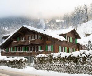 Apartment Schwendihus.6 Grindelwald Switzerland
