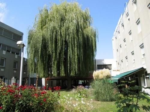 صورة الفندق 21