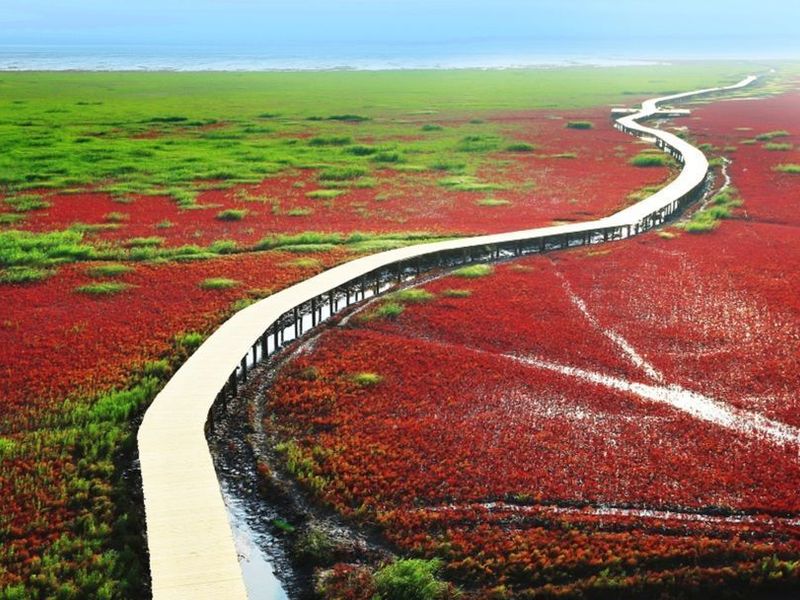 صورة الفندق 21