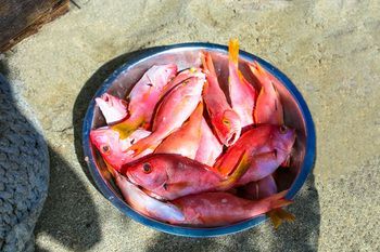صورة الفندق 13