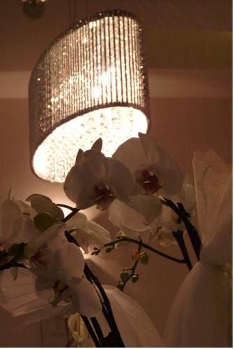 صورة الفندق 17