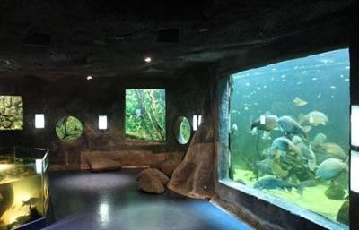 صورة الفندق 8