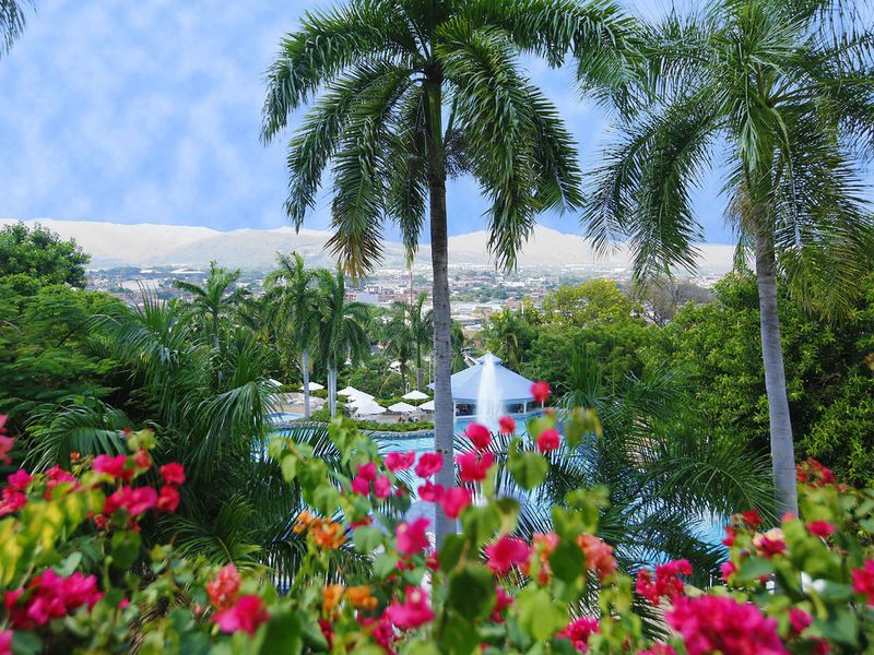 صورة الفندق 16