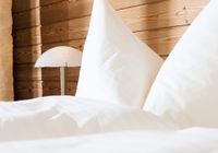 Отзывы Alpine-Inn by Jungfrau Hotel, 2 звезды