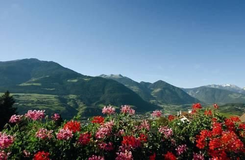 صورة الفندق 18