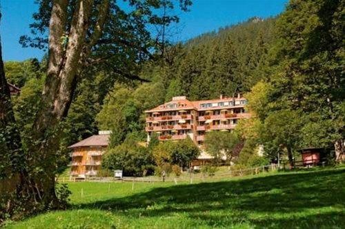 Hotel Photo 24