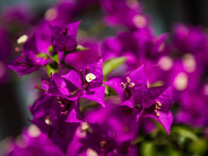 صورة الفندق 22