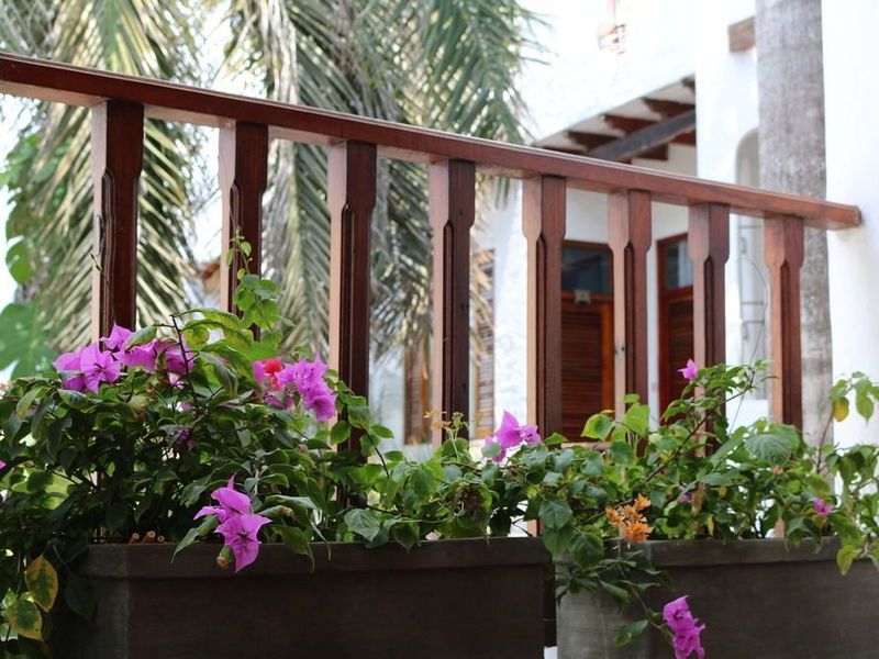صورة الفندق 17