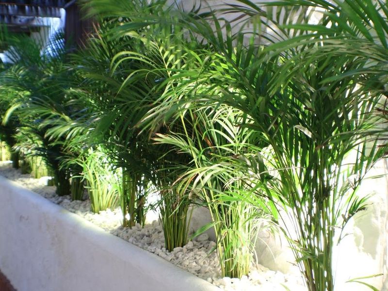 صورة الفندق 22