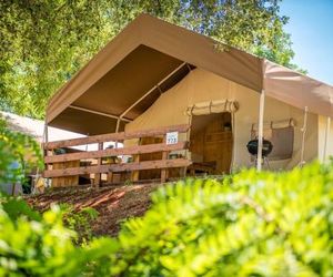 Sunflower Camping Novigrad Croatia