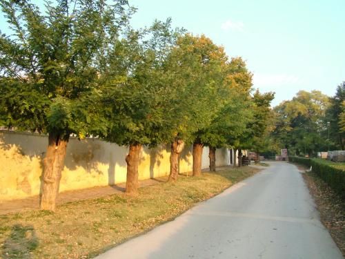 صورة الفندق 21