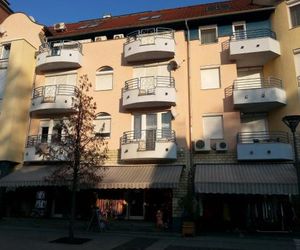 Pedestrian Street Apartment Heviz Hungary