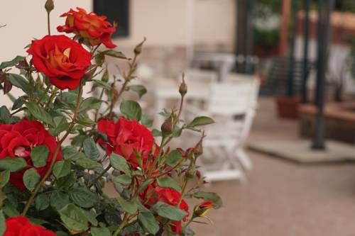 صورة الفندق 10