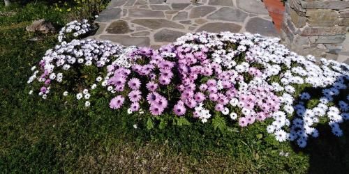 صورة الفندق 5