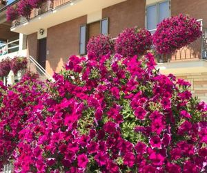 La Signora Dei Fiori Gubbio Italy