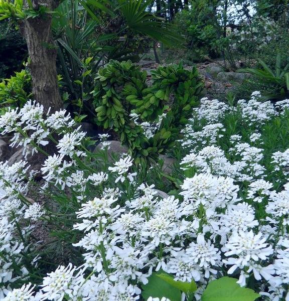 صورة الفندق 15