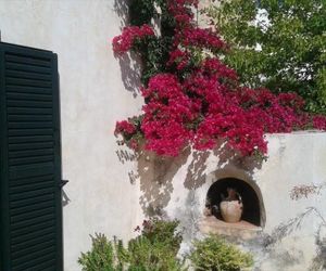 Petra & Elia Kalives Greece