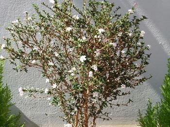 صورة الفندق 18