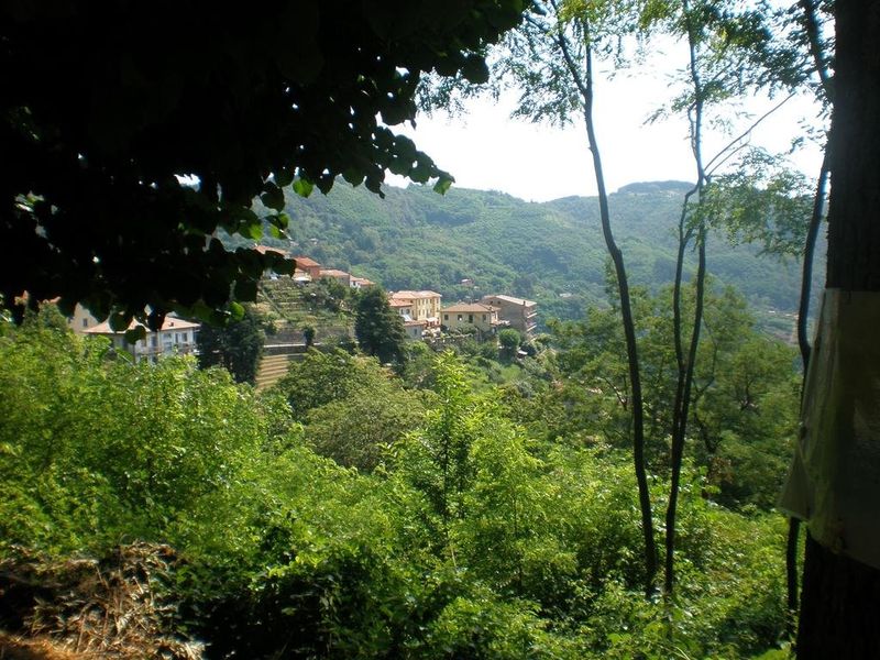 صورة الفندق 18
