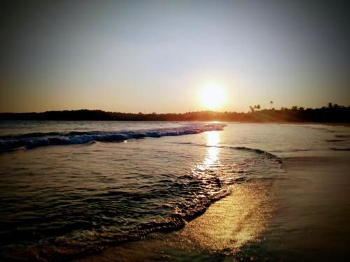 صورة الفندق 17