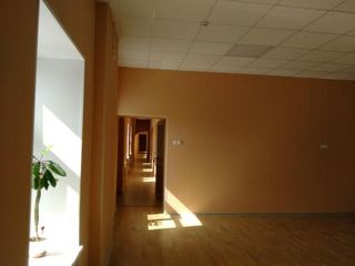 «Звенигородская»