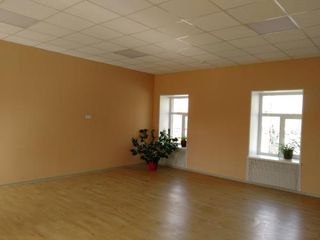 «Звенигородская»