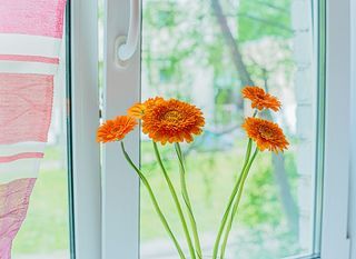 FlatHome24 Ярославский 38