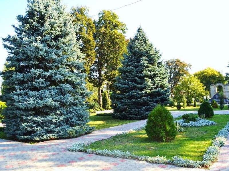 صورة الفندق 22
