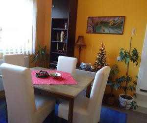 Apartments Villa Svetlana Vrnyachka Banya Serbia