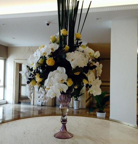 صورة الفندق 8