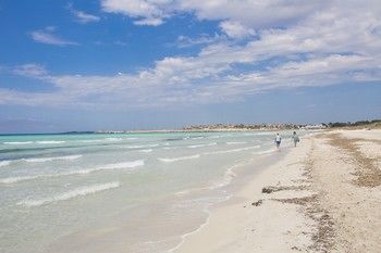 صورة الفندق 16