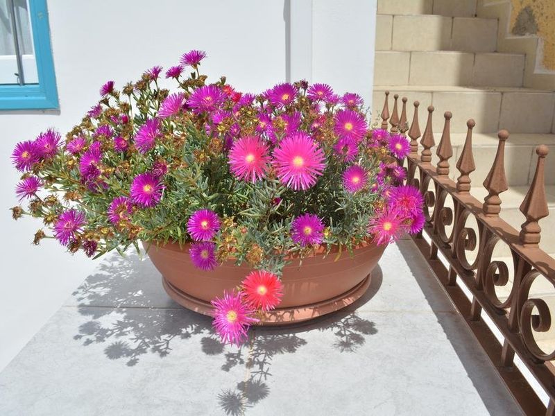 صورة الفندق 17