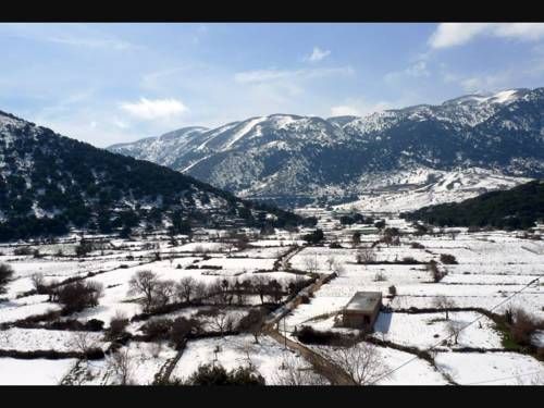صورة الفندق 21