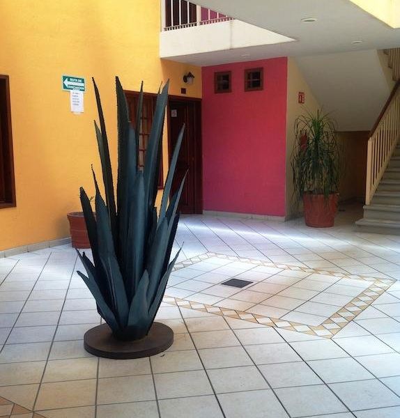 Hotel Photo 15