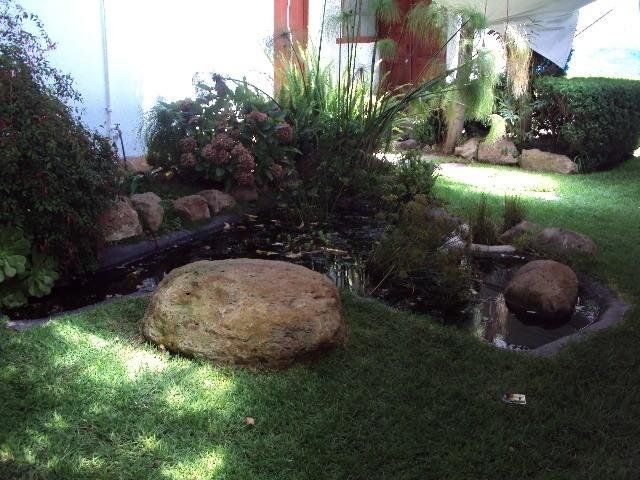 صورة الفندق 21