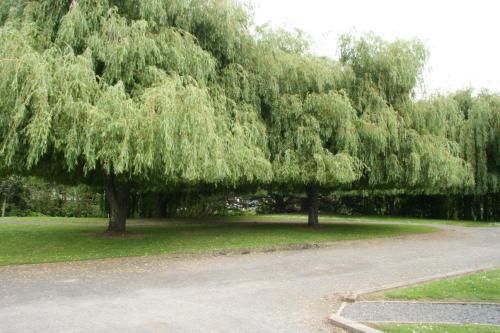 صورة الفندق 20