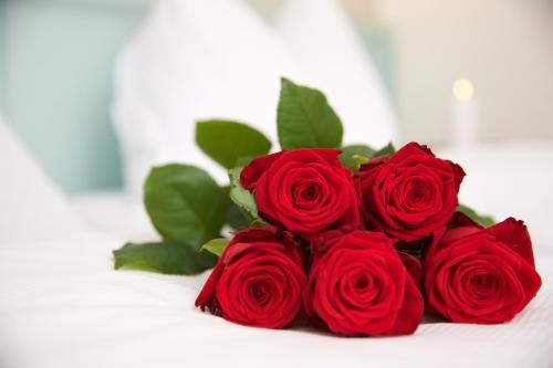 صورة الفندق 13