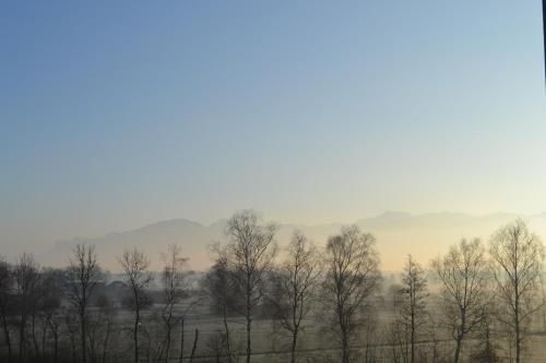صورة الفندق 19