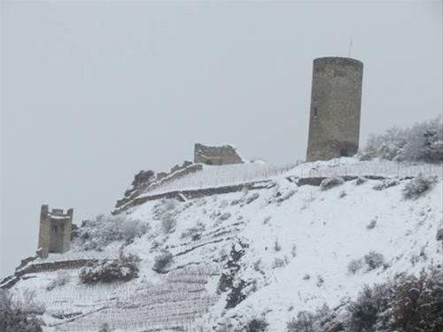 صورة الفندق 24