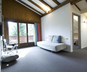 Hotel Alpine Lodge Saanen Switzerland