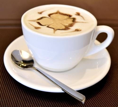 صورة الفندق 13
