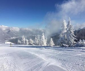 Ferienwohnung Szöky Bad Mitterndorf Austria