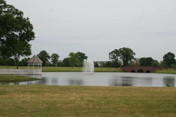 صورة الفندق 20