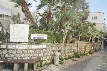 صورة الفندق 24