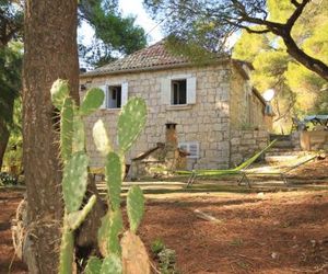 Apartments by the sea Milna (Vis) - 8490 Vis Croatia