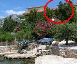 Apartments by the sea Starigrad (Paklenica) - 6592 Starigrad Croatia