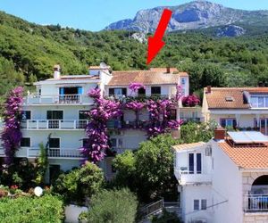 Apartments and rooms with parking space Podgora (Makarska) - 6790 Tucepi Croatia